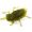 Приманка FISHUP Dragonfly 0.75" (12pcs.), #074 - Green Pumpkin Seed