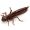 Приманка Fishup Dragonfly (new) 1.2" (10pcs.), #012 - Chaos