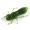 Приманка FISHUP Dragonfly 1.5" (8pcs.), #042 - Watermelon Seed